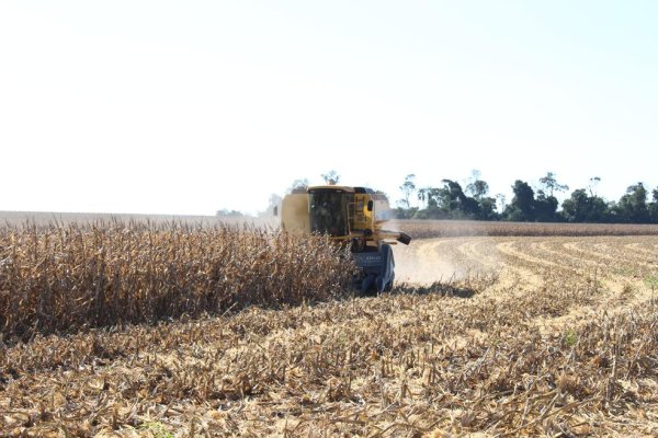 Colheita da safrinha inicia com boas expectativas
