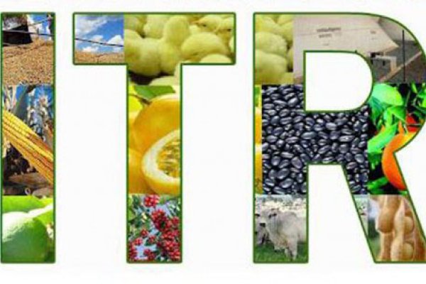 ITR 2015: produtores rurais devem entregar declara&ccedil;&atilde;o at&eacute; o final deste m&ecirc;s