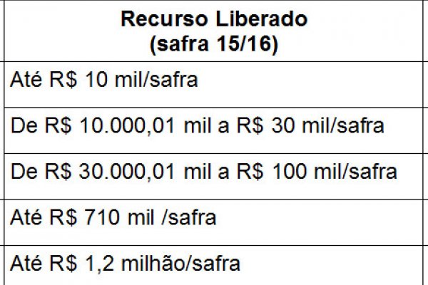 Confira as taxas do financiamento agr&iacute;cola para cultura do milho 2&ordf; safra