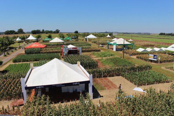 Cerca de 10 mil pessoas s&atilde;o esperadas para o Dia de Campo Copagril 2016