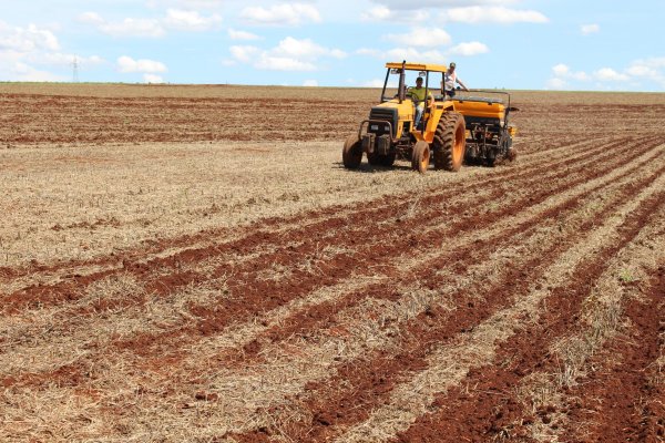Produtores aproveitam condi&ccedil;&otilde;es do tempo para plantar milho safrinha