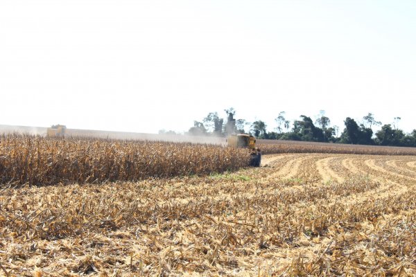 Iniciado per&iacute;odo de Safra Agr&iacute;cola 2016/2017