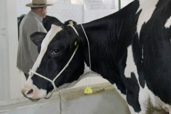 Copagril marca forte presen&ccedil;a na Exposi&ccedil;&atilde;o Pecu&aacute;ria