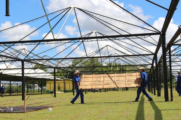 Copagril intensifica preparativos ao Dia de Campo