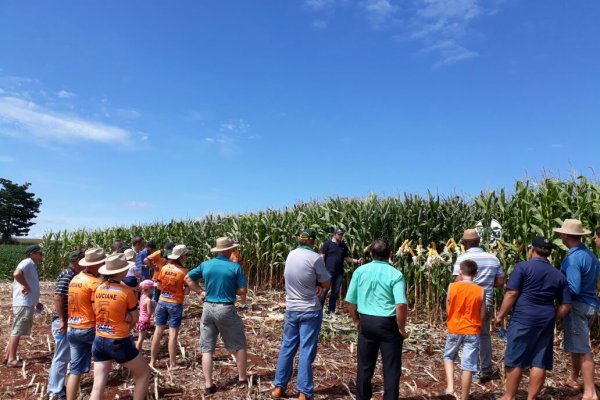 Comit&ecirc;s de jovens da Copagril realizam dias de campo dos Projetos Agr&iacute;colas