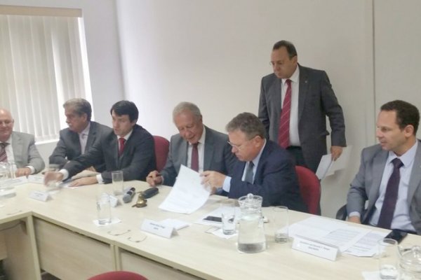 Nova Instru&ccedil;&atilde;o Normativa aumenta rigor na preven&ccedil;&atilde;o da gripe avi&aacute;ria