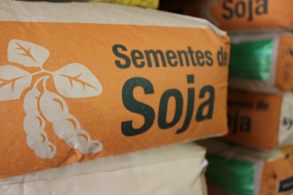 Safra 2017/18 ter&aacute; &aacute;rea recorde de soja no Paran&aacute;