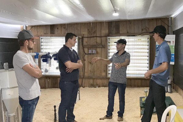 Equipamentos para avicultura e suinocultura est&atilde;o em exposi&ccedil;&atilde;o no Dia de Campo