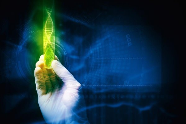 Biotecnologia: sistemas mais produtivos e sustent&aacute;veis