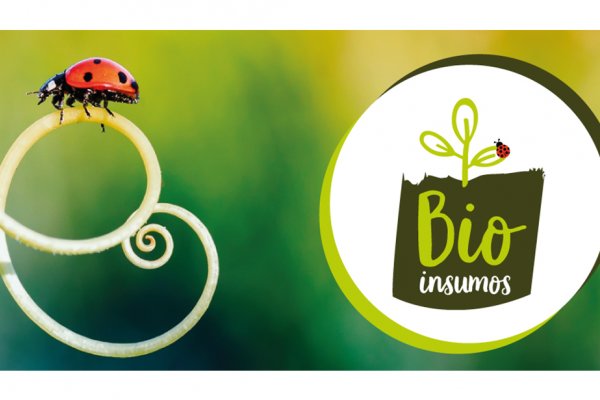 Mapa lan&ccedil;a Programa Nacional de Bioinsumos para agropecu&aacute;ria