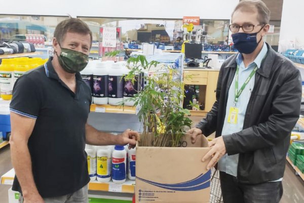 Copagril participa de a&ccedil;&atilde;o em celebra&ccedil;&atilde;o ao Dia da &Aacute;rvore