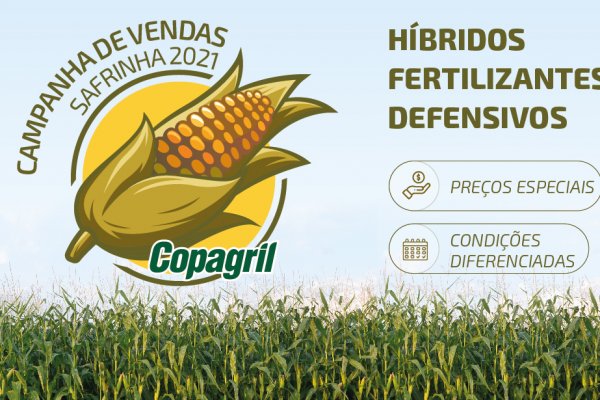 Produtores rurais realizam o planejamento da safrinha 2021