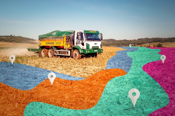 Manejo nutricional do solo &eacute; ferramenta para produtividade