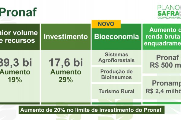 Contrata&ccedil;&otilde;es do Plano Safra 21/22 come&ccedil;am a partir de julho