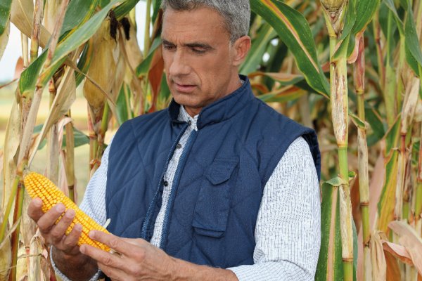 PRONAF: Mapa prepara novo cadastro nacional para registro de agricultores familiares