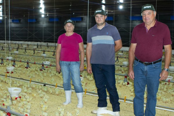 Aten&ccedil;&atilde;o e cuidado na avicultura