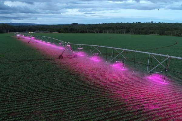 Associados da Copagril conhecem a ilumina&ccedil;&atilde;o artificial para irriga&ccedil;&atilde;o do solo.