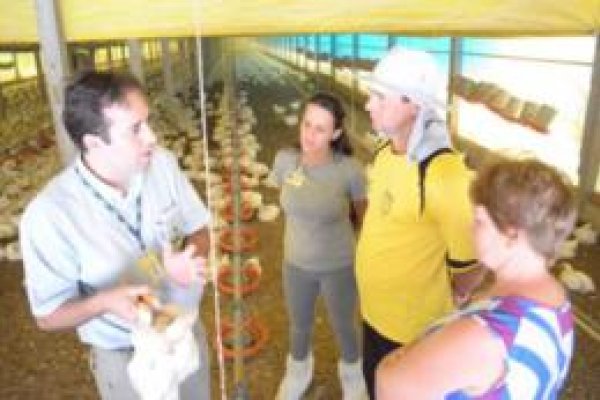 INCENTIVO A PADRONIZA&Ccedil;&Atilde;O DE DIAGN&Oacute;STICO