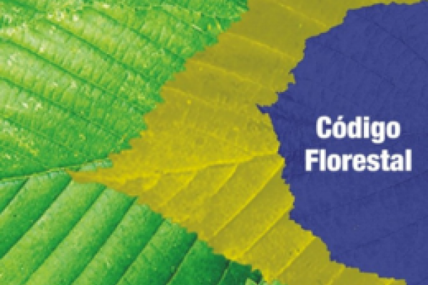 C&Oacute;DIGO FLORESTAL: C&acirc;mara aprova texto-base do deputado Paulo Piau