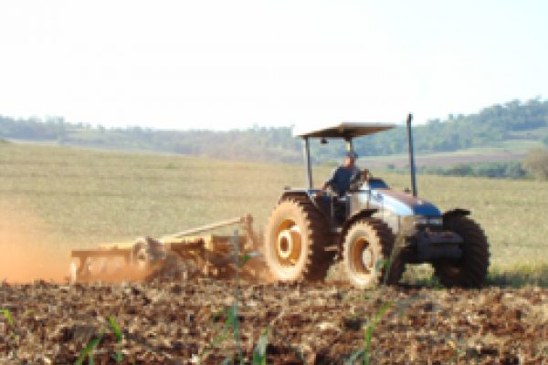 Sustentabilidade definir&aacute; sucesso da produ&ccedil;&atilde;o de gr&atilde;os na d&eacute;cada