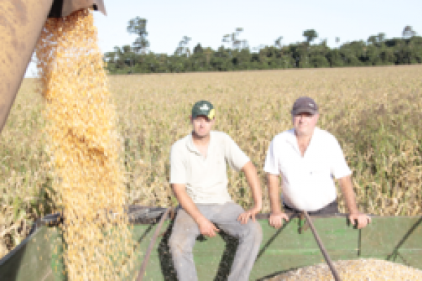 Primeiras lavouras de milho s&atilde;o colhidas na &aacute;rea da a&ccedil;&atilde;o da Copagril