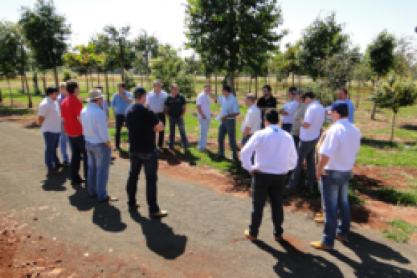 Dia de Campo Copagril 2013: preparativos j&aacute; iniciaram!                              