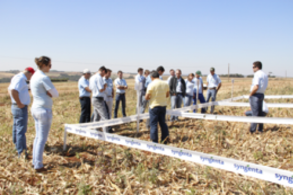 Copagril organiza Curso de Atualiza&ccedil;&atilde;o T&eacute;cnica Agron&ocirc;mica                              