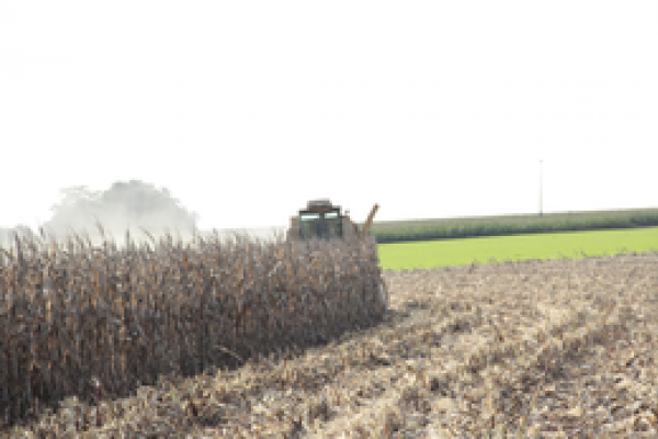 AGRICULTURA: uma era de oportunidades e desafios!                                              