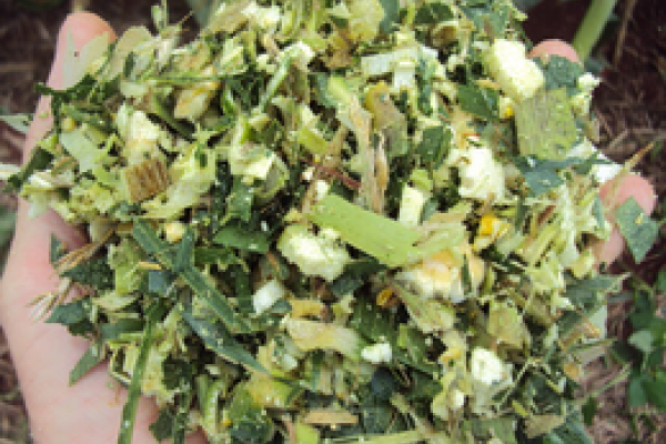 Copagril promove IV Concurso da Silagem de Melhor Qualidade                              