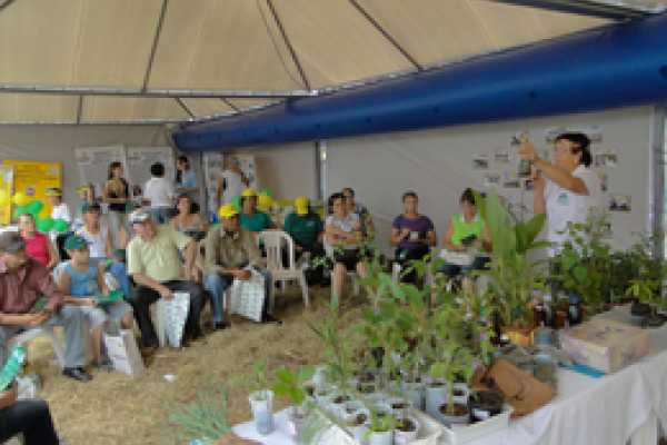 &Aacute;rea Social da Copagril mostrar&aacute; suas atividades no Dia de Campo 2013                              