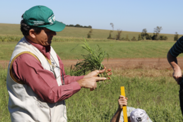 Produtores participam de treinamento sobre manejo de pastagens