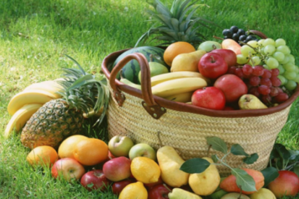 Adapar alerta produtores sobre aquisi&ccedil;&atilde;o de mudas de frut&iacute;feras                              