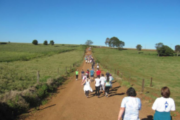 Semana do Meio Ambiente &eacute; encerrada com caminhada na natureza                              