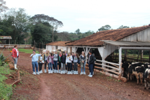 Acad&ecirc;micos de zootecnia da Unioeste visitam criat&oacute;rio de bezerras                              