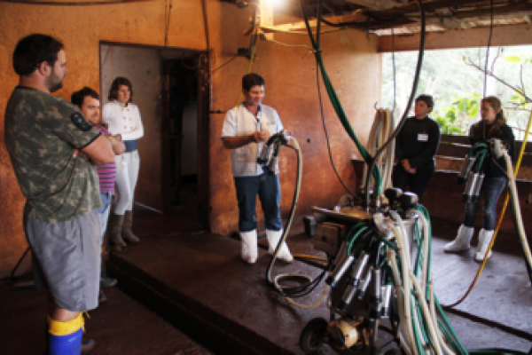 Copagril oferta curso para produtores de leite                               