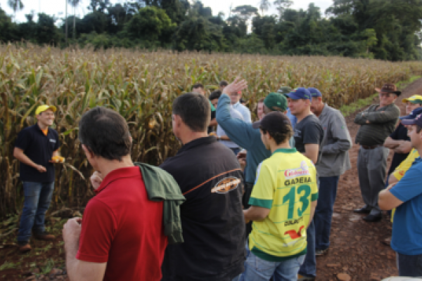 Associados participam de Dia de Campo &ndash; Produtos Agr&iacute;colas                              