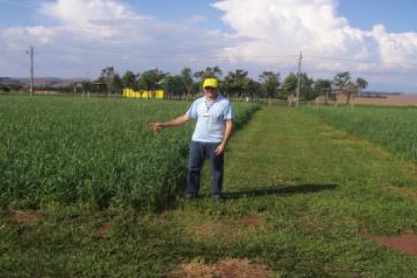 Esta&ccedil;&atilde;o Experimental j&aacute; prepara Dia de Campo 2014