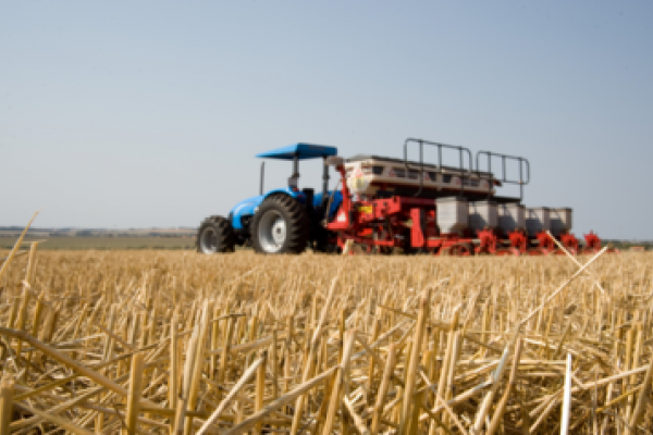 Plantio direto: t&eacute;cnica paranaense revolucionou a agricultura mundial