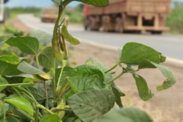 Vazio sanit&aacute;rio: regional de Toledo n&atilde;o registrou autua&ccedil;&otilde;es