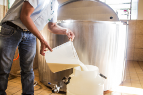 Leite: pre&ccedil;o atinge maior patamar real de toda a s&eacute;rie do Cepea, de 13 anos