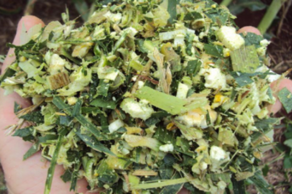 Copagril promove V Concurso da Silagem de Melhor Qualidade