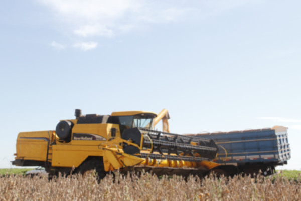 Inicia colheita de soja na &aacute;rea de a&ccedil;&atilde;o da Copagril