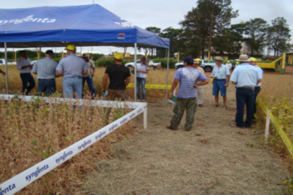 Dia de Campo soja ser&aacute; realizado em Bela Vista