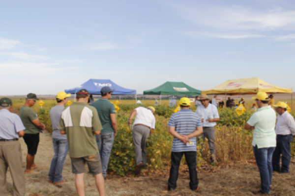 Copagril realiza Dia de Campo em Bela Vista