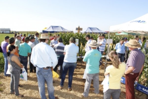 Dia de Campo Milho Safrinha da Copagril atrai mais de 500 pessoas