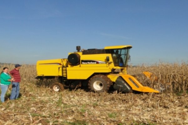 Associados iniciam colheita do milho safrinha na &aacute;rea de a&ccedil;&atilde;o da Copagril