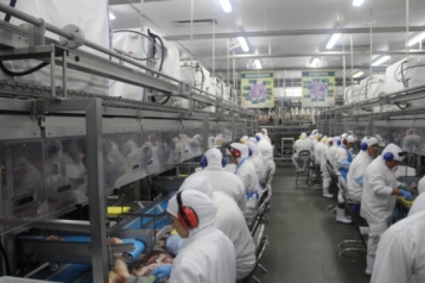  Ap&oacute;s reabilita&ccedil;&atilde;o, Copagril pode voltar a exportar carne de frango para R&uacute;ssia