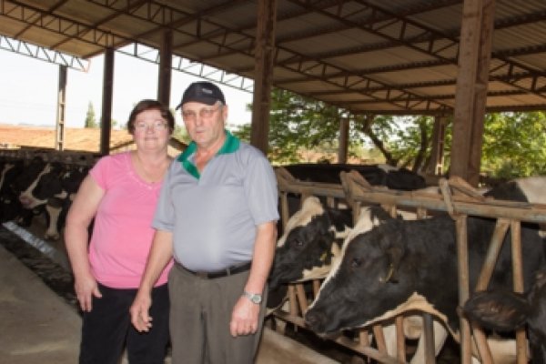  Associado da Copagril obt&eacute;m certifica&ccedil;&atilde;o de propriedade livre de brucelose e tuberculose