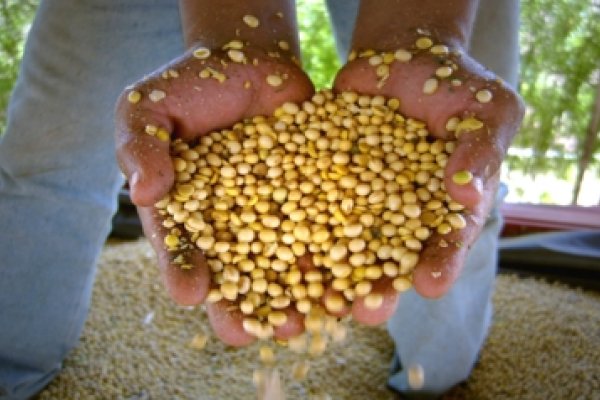  Cooperativismo &eacute; sa&iacute;da para pre&ccedil;os baixos