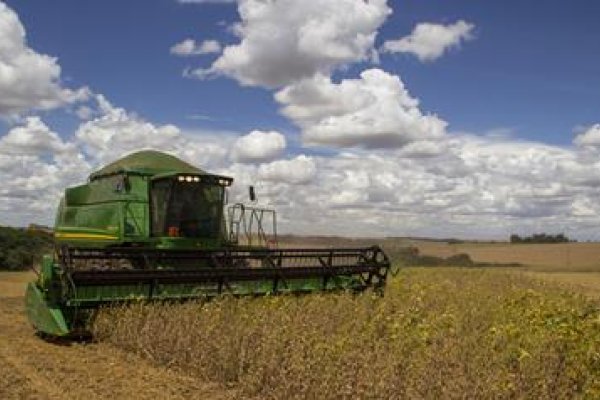 Cuidados pr&eacute;-colheita e plantio safrinha